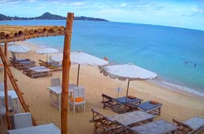 Baobab-Restaurant. Webcams Samui online