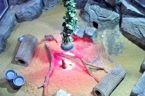 Tula Exotarium. Tula-Webcams online