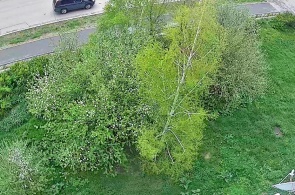 Salavat Yulaev Avenue. Winkel 3. Baymak-Webcams online