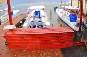 Tauchclub Roatan Taucher. Roatan-Webcams online