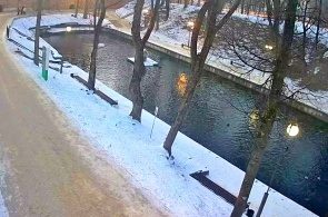 Lopatinsky-Garten. Schwäne. Smolensk-Webcams online