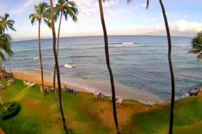 Condo Beach auf der Insel Maui. Hawaii-Inseln Webcams online