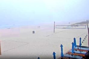 Sharkys Restaurant Strand. Panama City Beach Webcams online