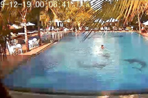 Hotel SEALION BEACH RESORT & SPA 4 * Webcam online