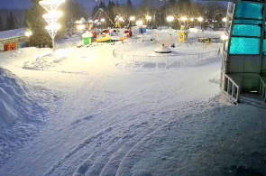 Stadtpark. Meschduretschensk Webcams online
