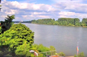 Blick von Köln-Surt auf den Rhein. Köln Webcams online