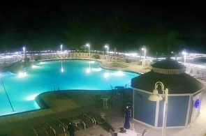 Blue Heron Beach Resort Hotel. Buena Vista-Webcams online