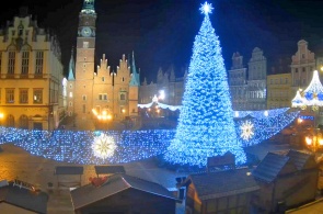 Marktplatz. Breslau Webcams online