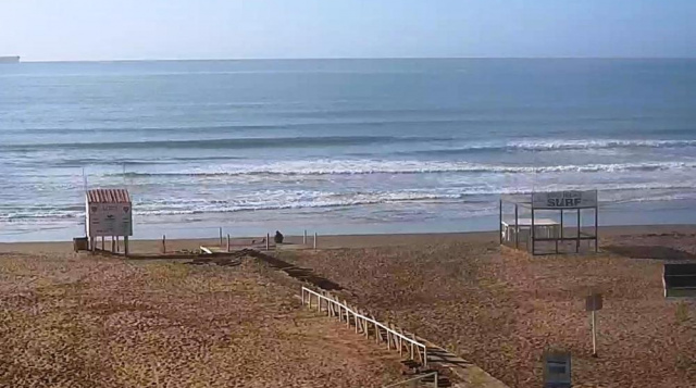 Biologie Strand. Mar del Plata Webcams online