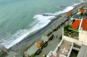 Flamingo-Hotelstrand. Adler-Webcams online