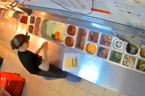 Pizzeria Dodo Pizza. Tula-Webcams online
