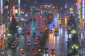 Kabukicho-Kreuzung. Tokio-Webcams online