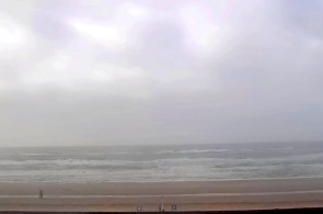 Hennes Strand. Kopenhagens Webcams