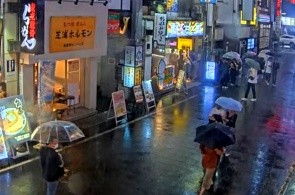 Kabukicho Shinjuku. Tokio-Webcams online
