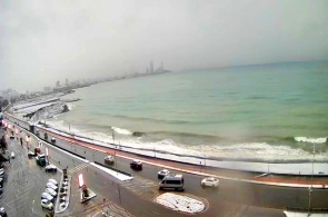 Tamar Mepe Avenue. 1. Batumi-Webcams online ansehen